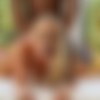 [CastingCouch-HD.com] CastingCouch-HD Doggy Style Compilation [2022 ., BBC, Big Ass, Brunette, Blonde, Compilation, Doggy Style, Female Completion, Interracial, Natural Tits, Redhead, Teen, 1080p, WEB-DL] thumbnail