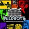 Wildboyz 2003 S01-S04 480p DVD Rip AAC H264 thumb