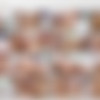 [Gapeland.com / 21Sextury.com] Eva Berger ( Anal training of Eva Berger / 92167 / 29.08.14) [2014 ., anal, babes, blowjobs, dildo, facial cum, one on one, redhead] thumb