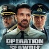 Operation Seawolf [2022] / H264 / MKV / Blu-ray / 1080p / DTS / Subs / MTeam thumb