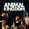 Animal Kingdom [2010] / H264 / MKV / DVD / SD / AC3 / Subs thumb