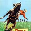 Ride a Crooked Trail [1958] / H264 / MKV / Blu-ray / 1080p / AAC / Subs thumb