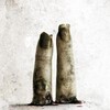 Saw II 2005 BluRay 1080p DTS-HD MA 6 1 VC1 REMUX-FraMeSToR thumb
