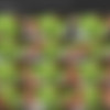 [OnlyFans.com] Amber Jade (227 Clips & 1377 Images) - @the_amberjade - 2019/09/06 thumb