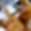 [OnlyFans.com] Hotwife Jade Li (HEVC/x265 re-encode) thumb