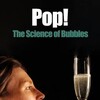 The Science of Bubbles 2015 2160p WEB H265-BIGDOC thumb
