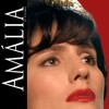 Amália [2008] / H264 / MP4 / DVD / SD / AAC / Portuguese thumb