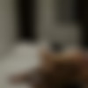 [JamesDeen.com] Blue Angel - Blue Angel And James Deen Late Night Fuck-A-Thon (08.12.2017) [2017 ., Amateur, Blonde, Natural, Reality, Rimming, Romance, 1080p] thumb
