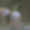 [MetArtX.com] Foxy Alissa (Yoga 2) [2021-12-02, Nude, Posing, Solo, Mastrubation, 2160p] thumb