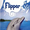 Flipper S02 ENG 384p WEB AAC x264 PiTBULL thumb