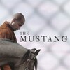 The Mustang [2019] / H264 / MKV / Blu-ray / 1080p / DTS / Subs thumb