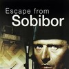 Escape from Sobibor [1987] / H264 / MKV / DVD / SD / AC3 / Subs / HANDJOB thumb