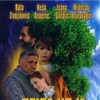Some Birds Can't Fly [1997] / H264 / MKV / DVD / SD / AC3 / Serbian / Subs thumb