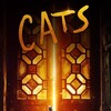 Cats [2019] / H264 / MKV / Blu-ray / 1080p / True-HD / Subs thumb