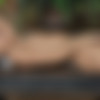 [WowGirls.com] Zaya - Fathers Room (aka Ashley, Irina Bruni ) [2012 ., Solo, Erotic, Masturbation, Dildo, Close Ups, 1080p] thumb