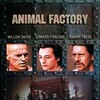 Animal Factory [2000] / H264 / MKV / Blu-ray / 720p / AC3 / Subs thumb