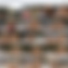 WowGirls.com Siterip - Part 4/5 thumb