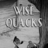 Wise Quacks [1939] / MPEG2 / MKV / DVD / SD / AC3 / Subs thumb