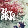 The Sky Is Pink [2019] / H264 / MKV / WEB / 1080p / AC3 / Hindi / Subs / SARVO thumb