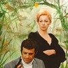 Mississippi Mermaid [1969] / H264 / MKV / Blu-ray / 720p / AAC / French / Subs thumb