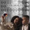 Colorblind 2023 720p WEB H264-RABiDS thumb