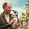 My Penguin Friend [2024] / H264 / MKV / WEB / 1080p / AC3 / Subs / FLUX thumb