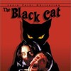 The Black Cat 1981 1080p BluRay REMUX AVC DTS-HD-MA 2 0-UnKn0wn thumb