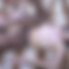 [FERRONETWORK.com / PantyhoseLine.com] Keith, Claudius / g833 (23/02) [2013, Russian, All Sex, Oral, Pantyhose, SiteRip, 720p] thumb