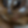 [CumPartySluts.com / KillerGram.com] Aaliyah Banu - An Indian Gangbang [720p/24.03.2014 ., Brunette,Group Sex,Oral,Gonzo] thumbnail