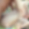 Aliya Brynn - PART 1 (58 ) Pack [2019-2024, Anal, Creampie, Facial, Swallow, Teen] thumb