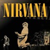 Nirvana: Live At Reading [2009] / H264 / MKV / DVD / SD / DTS / kuchikirukia thumb