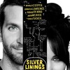 Silver Linings Playbook 2012 EXTRAS 1080p BluRay H264-RMXTRAS thumb