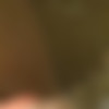 [OnlyFans.com] Sienna Day / 150 Clips Megapack / Complete SiteRip up to 21.02.2018 [2017-2018, HomeMade, Reality, Talks, BTS, Pornstars Life, Anal, Blowjob, Lesbian, Solo, Posing] (Tina Kay, Rebecca Moore) thumb