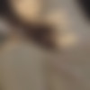 [MetArtX.com] Foxy Alissa (My Favourite Place 2) [2022-01-01, Nude, Posing, Solo, 2160p] thumb