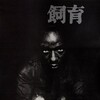 The Catch [1961] / H264 / MKV / WEB / 1080p / AC3 / Japanese / Subs / SbR thumb