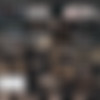 [hardwerk.com] Ask Me Bang Paulita (Paulita Pappel, Rod Hardick, Freddy Gong, Goro Kush, Roman Raw, JJ Smilz, Jason Steel, Darrell Deeps) - 2160p, 4k {2024-09-05} thumb
