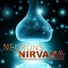 Neurons to Nirvana [2013] / H264 / MKV / WEB / 1080p / AC3 / Subs / TEPES thumb