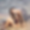 [MetArt.com] 2015 02-03 Lily C - Mercana [Erotic, Posing, Solo] [1080p, HDRip] thumb