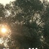 Familia [2023] / H264 / MKV / WEB / 1080p / AC3 / Spanish / Subs / FLUX thumb