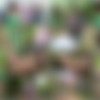 [CzechCouples.com / CzechAV.com] CZECH COUPLES 9 (2014 .) [Group Sex, Hardcore, Amateurs, POV, Outdoors] thumb
