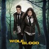 Wolfblood S01 WEBRip EAC3 2 0 1080p x265-iVy thumb
