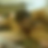 [CruelMoney.com]    [2006 ., mature, CamRip] thumb