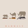 Mammals 2024 S01 COMPLETE 1080p iP WEB-DL AAC2 0 H 264-NTb thumb