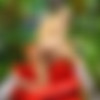 [DreamTranny.com] Daniela Marks New Transsexual Blonde Toys Her Bunghole (Aug, 2024) [2024 ., Shemale, Transsexual, Solo, Big Tits, High Heels, Masturbation, Dildo, Cumshot, 4K, 2160p, SiteRip] thumb