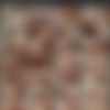 Elisa Bethann (11 ) Pack [2024, Big Ass, Big Tits, Creampie, Facial, MILF, Mature] thumb