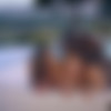 [Blacked.com] Jia Lissa, Stacy Cruz & Joss Lescaf (BEST FRIENDS SHARE) 4K [2019-09-02, All sex, Blowjob, Threesome FFM, IR, Facial cumshot, Outdoors, Interracial, BBC, Natural big tits, Small tits, 2160p] thumb