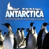 Antarctica: An Adventure of a Different Nature [1991] / H264 / MKV / Blu-ray / 720p / AC3 / Subs / Scene / CiNEFiLE thumb