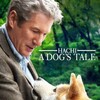 Hachi A Dogs Tale 2009 | 1080p | FELIX12345 thumb