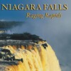 Niagara Falls Raging Rapids 2004 480p WEBRip DDP 2 0 H 265 -iVy thumb