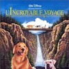Homeward Bound The Incredible Journey 1993 720p WEB H264-DiMEPiECE thumb